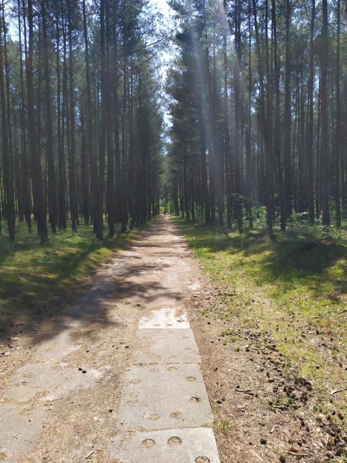 Home&Slow Life Гданьск Экстерьер фото