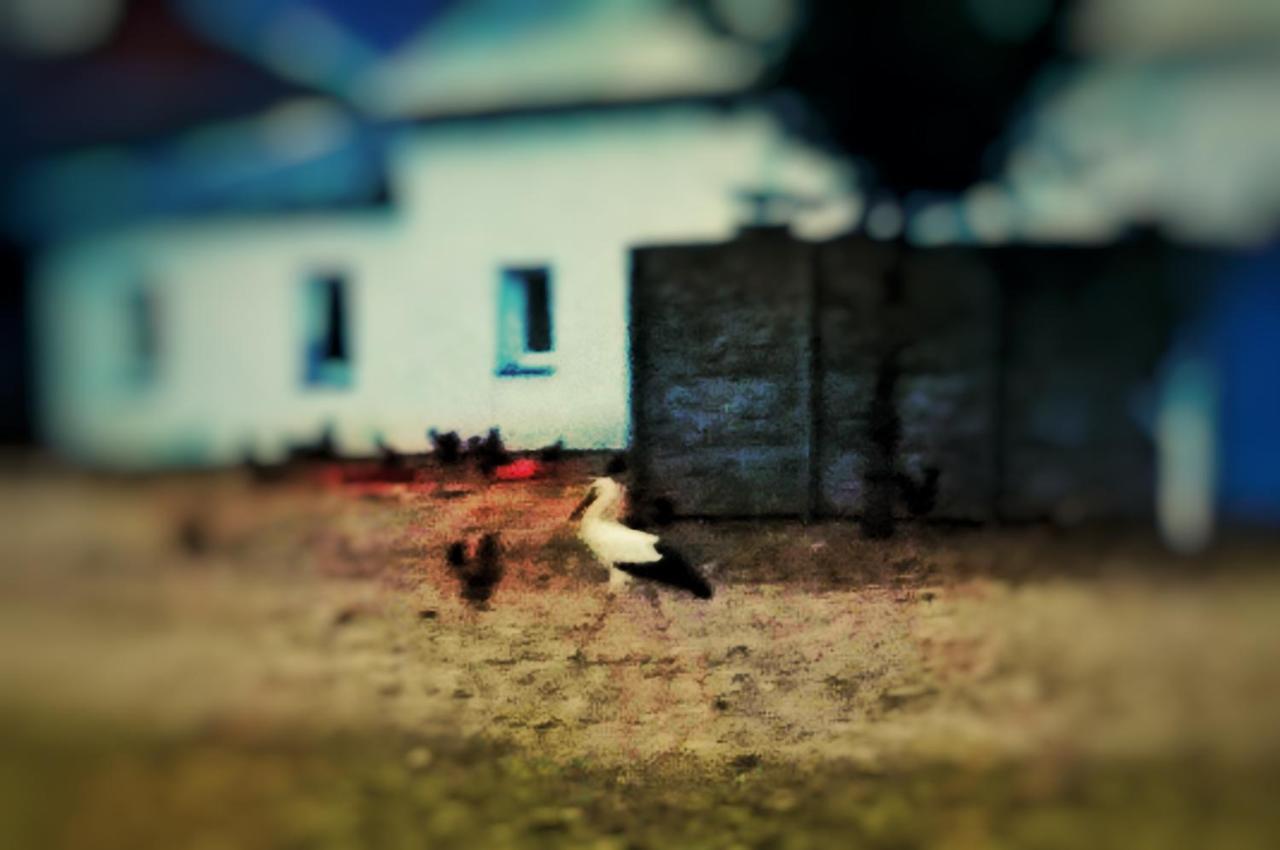 Home&Slow Life Гданьск Экстерьер фото